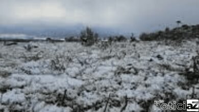 VÍDEO: Santa Catarina registra sensação de -20°C com neve no segundo dia de primavera