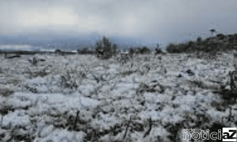 VÍDEO: Santa Catarina registra sensação de -20°C com neve no segundo dia de primavera
