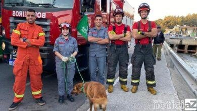 Bombeiros e Defesa Civil resgatam cão em Vargem Paulista