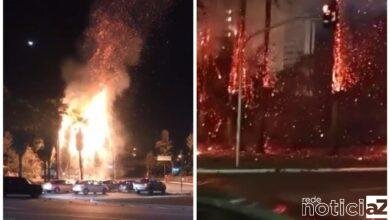 Árvores em Jundiaí pegam fogo após queda de balão em praça