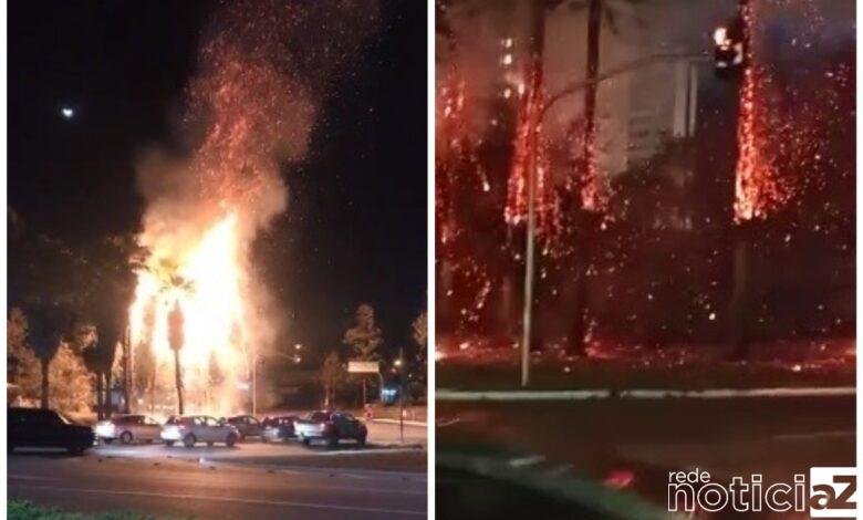 Árvores em Jundiaí pegam fogo após queda de balão em praça