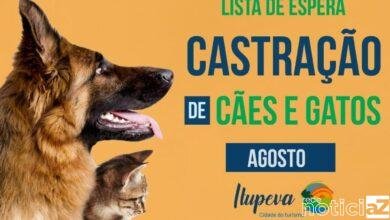 Prefeitura de Itupeva divulga lista de espera do mês de agosto para castração de cães e gatos