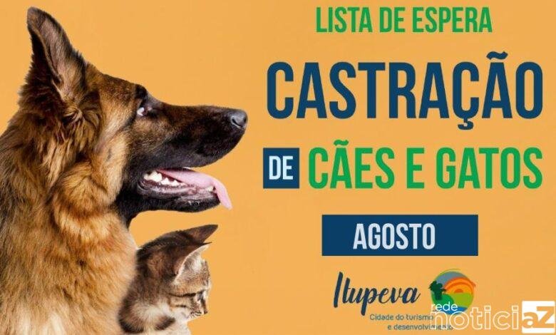 Prefeitura de Itupeva divulga lista de espera do mês de agosto para castração de cães e gatos