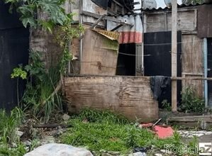 Homem mata a namorada, mas é liberado mesmo após confessar o crime em São Vicente