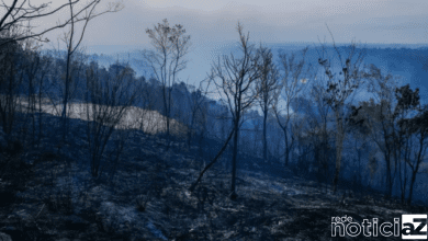 Mais de 200 mil m² de vegetação da Serra do Mursa é destruído após incêndio