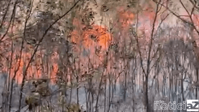 Serra do Mursa sofre incêndio de grandes proporções