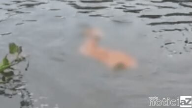 Perna humana é vista boiando em um rio de São Paulo