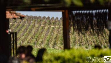 Jundiaí disputa prêmio