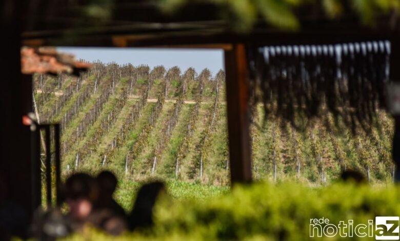 Jundiaí disputa prêmio