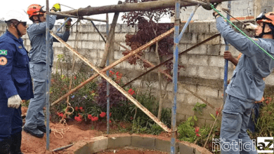 Vaca é resgatada após cair em fossa