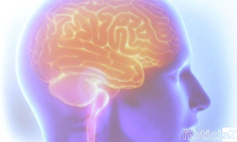 Dia Mundial do AVC: campanha alerta para sinais e diagnóstico rápido