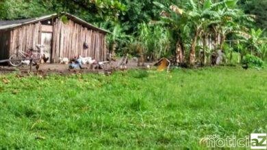 Suspeito de estupro contra criança indígena em São Vicente é preso