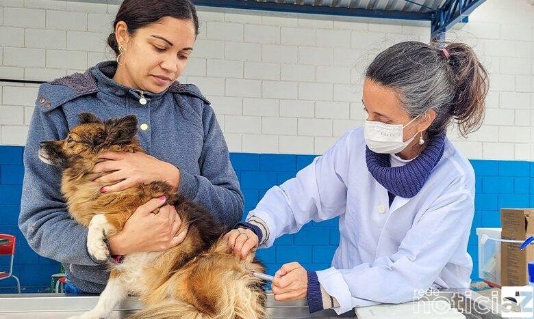 Vacinação contra a raiva animal: confira o cronograma de imunização em Itupeva