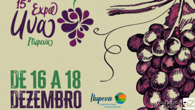 Inscrições para leilão de uvas, expositores e produtores na Expo Uva estão abertas em Jundiaí