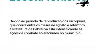 Prefeitura de Itupeva intensifica combate a escorpiões com a finalidade de alertar e informar à população