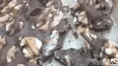 VÍDEO: Cliente denuncia loja de doces após encontrar larvas vivas