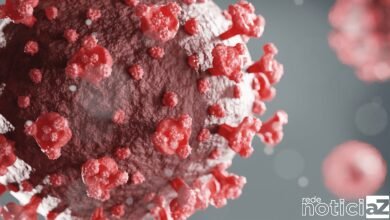 Covid-19: Sobe número de casos. Veja quais são os sintomas