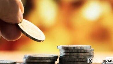 Artigo: A luta pela liberdade financeira feminina