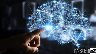 Mais de 40 brasileiros superinteligentes são descobertos por empresa internacional