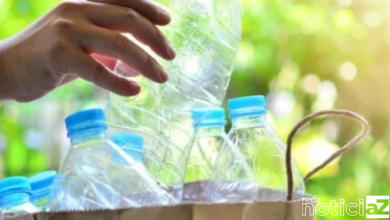 Descarte correto do plástico colabora com a proteção da natureza