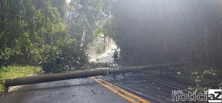 Árvores e poste caem durante a chuvarada em Jundiaí