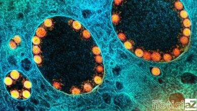 Nova subvariante da Ômicron é detectada no Brasil e Fiocruz diz que ela é mais contagiosa