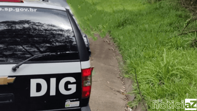 DIG de Jundiaí investiga sumiço de égua em Morungaba