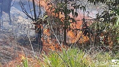 Incêndio no Morro da Baleia persiste