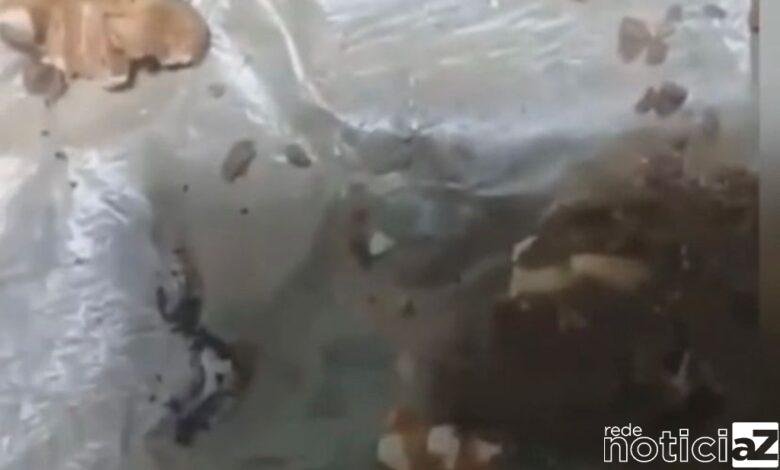 VÍDEO - Moradora de Jundiaí encontra larvas vivas em chocolate