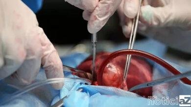 Bloqueios feitos por bolsonaristas impedem a realização do transplante de coração em SP