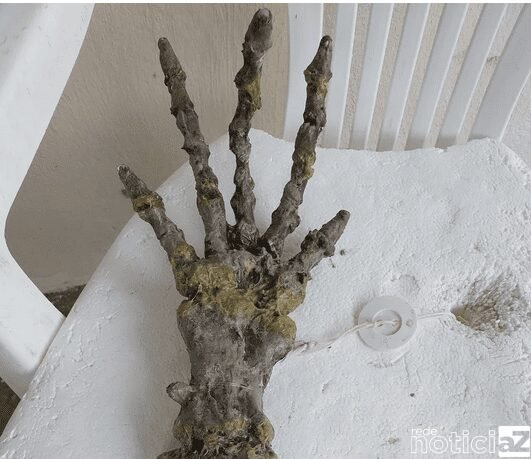 Esqueleto aparece em praia e assusta os banhistas