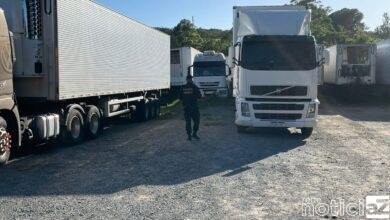 Operação da PF apreende mais de 2 toneladas de drogas na Região de Jundiaí