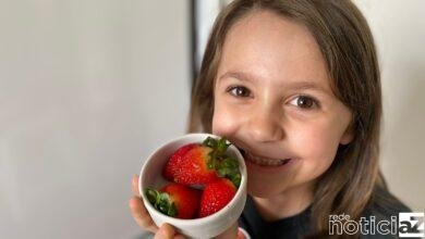 Conheça cinco dias de alimentos para as férias escolares