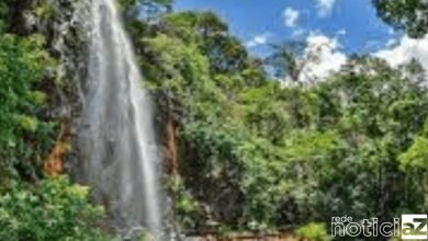 Lugares incríveis para viajar em São Paulo