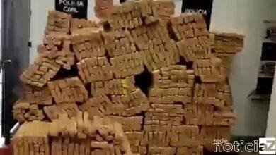 Duas toneladas de drogas são apreendidas dentro de transportadora em SP