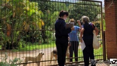 Agricultores recebem dicas de prevenção contra o câncer de pele
