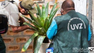 Alerta para riscos da dengue no período chuvoso em Itupeva