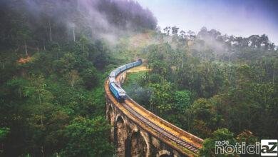 6 estadias de outro mundo para uma imersão na natureza