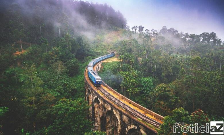 6 estadias de outro mundo para uma imersão na natureza