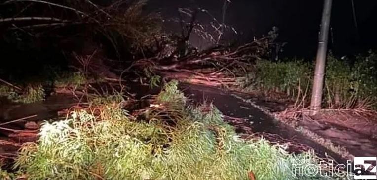 Estrada de Itupeva a Indaiatuba é fechada por árvore