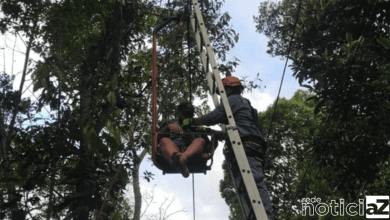 VÍDEO - Teleférico para e dez pessoas ficam presas a 7 metros de altura, em SP