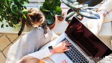 Artigo: A responsabilidade das empresas com a saúde mental dentro e fora dos ambientes corporativos