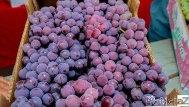 Vem aí a Festa da Uva de Jundiaí