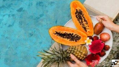 Em época de calor intenso, a ordem é se alimentar bem e de maneira leve