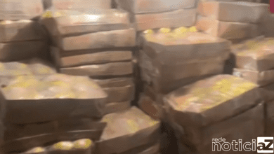 Motorista é rendido e ladrões levam caminhão com caixas de frango