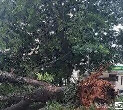 Jundiaí registra ocorrências com as chuvas