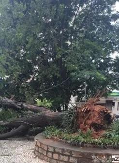 Jundiaí registra ocorrências com as chuvas