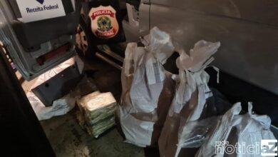 VÍDEO - Polícia e Receita Federal apreendem 70kg de drogas no Porto de Santos