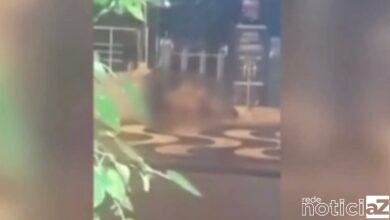 VÍDEO - Casal é flagrado fazendo sexo em frente a balada em Santos