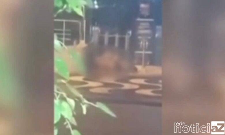 VÍDEO - Casal é flagrado fazendo sexo em frente a balada em Santos